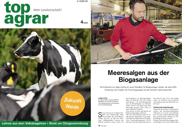 „Meeresalgen aus der Biogasanlage“ - Dr. Stefan Sebök (top agrar 04/2019)